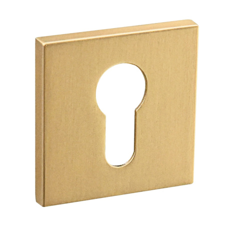 Rozeta kwadratowa FIT RFQ M G02 złoty mat wkładka