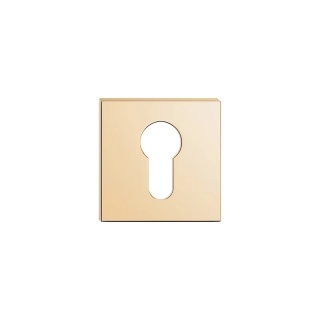 Rozeta kwadratowa Slim mosiądz błyszczący PVD wkładka